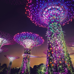 Gardens by the Bay at night in Singapore
