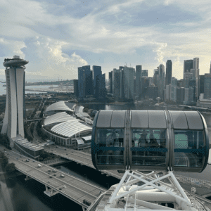 view from the top of the Singapore flyer observation wheel