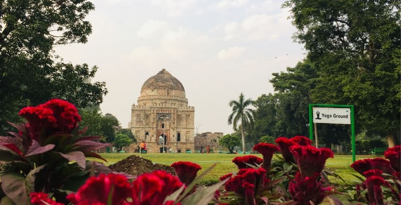 red flowers in park like setting with domed temple in background