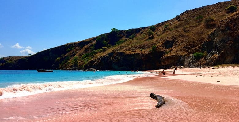 pink sand beach and shoreline on komodo island