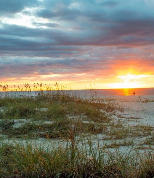 sand dunes and beach area near hilton head south carolina