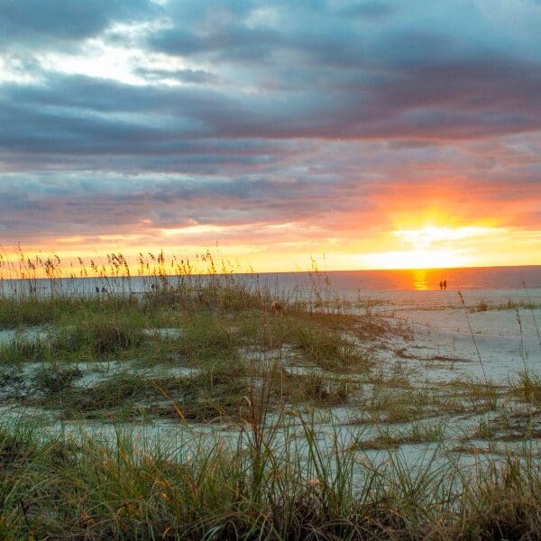 sand dunes and beach area near hilton head south carolina