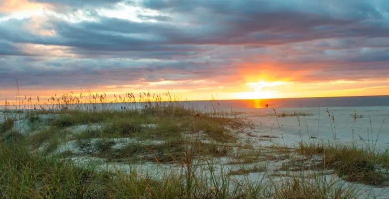 sand dunes and beach area near hilton head south carolina