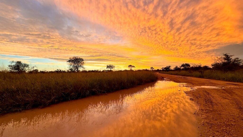 An orange sky relfected in the rainwater of an afternoon shower in Kruger National Park.