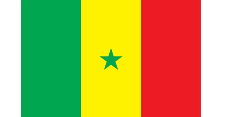 green, yellow, and red flag with green star in center from Senegal
