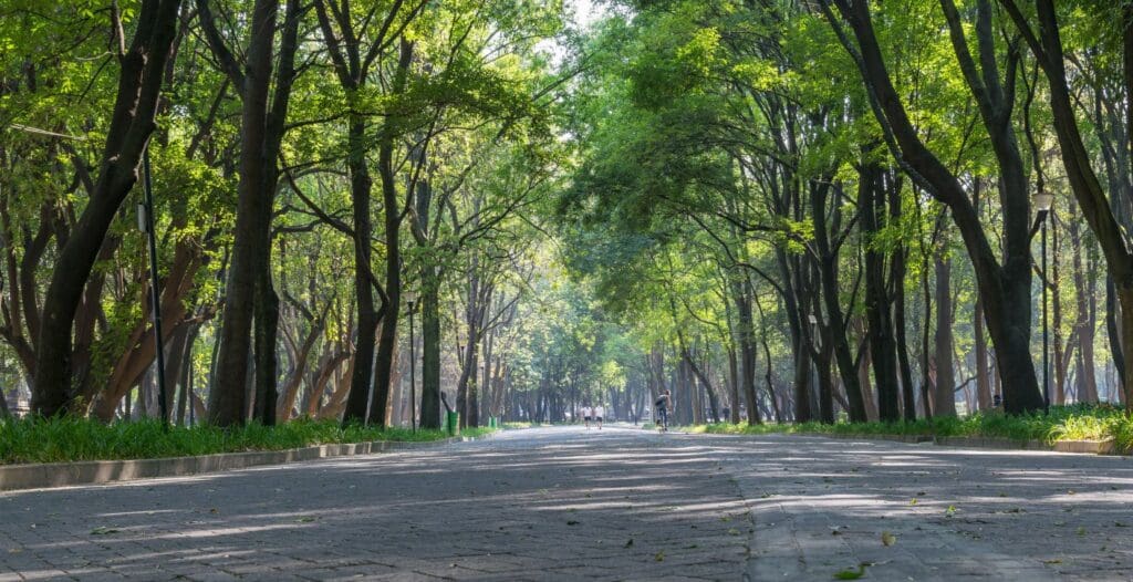 Taking a walk through Bosque de Chapultepec