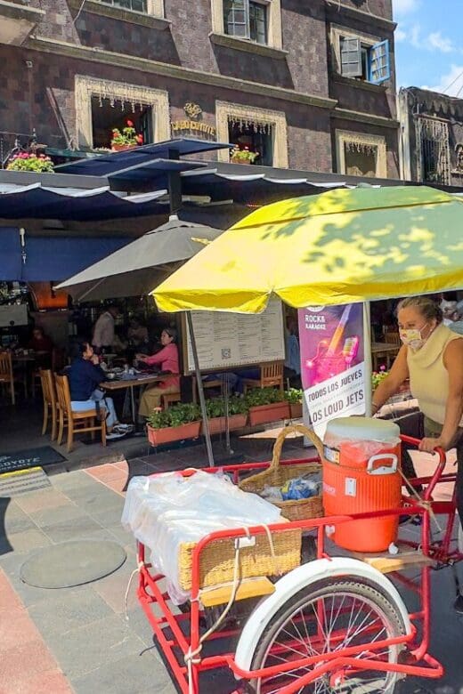 woman on bike selling items