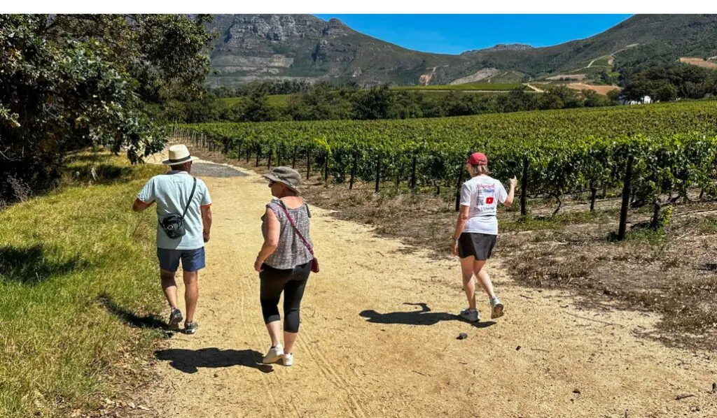 3 people walking through a vineyard