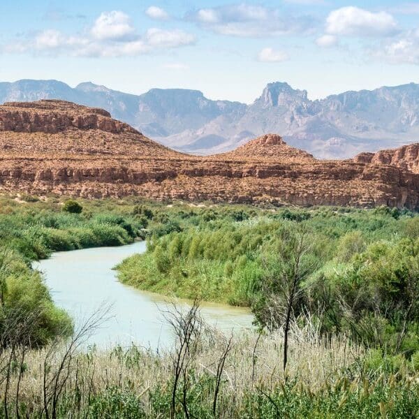 mountains and landscape of big bend national park in texas