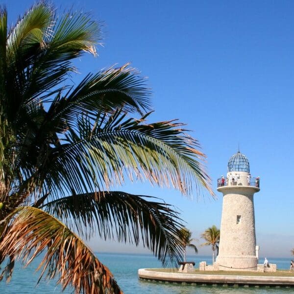 lighthouse and palm tree at biscayne national park in florida