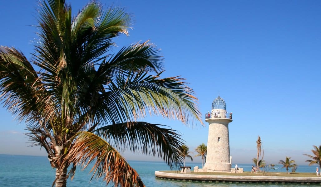 lighthouse and palm tree at biscayne national park in florida