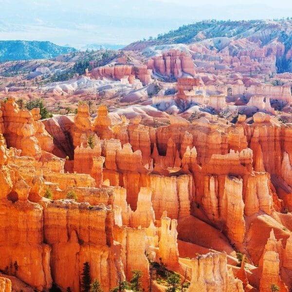 hoodoos of bryce canyon national park