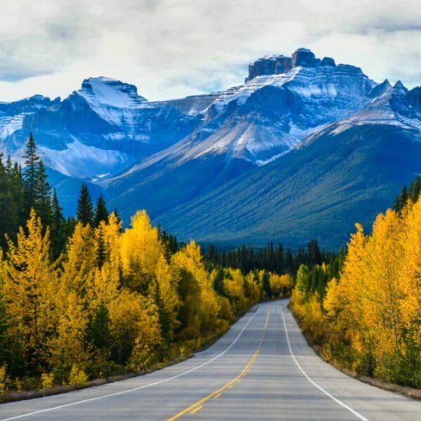 canadian rockies with highway