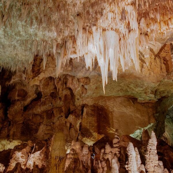 stalagmites and stalactites in Carlsbad caverns