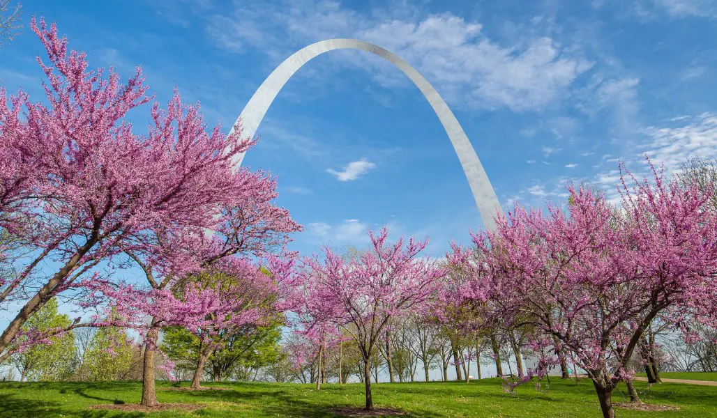 gateway arch with spring blossoms in the trees below