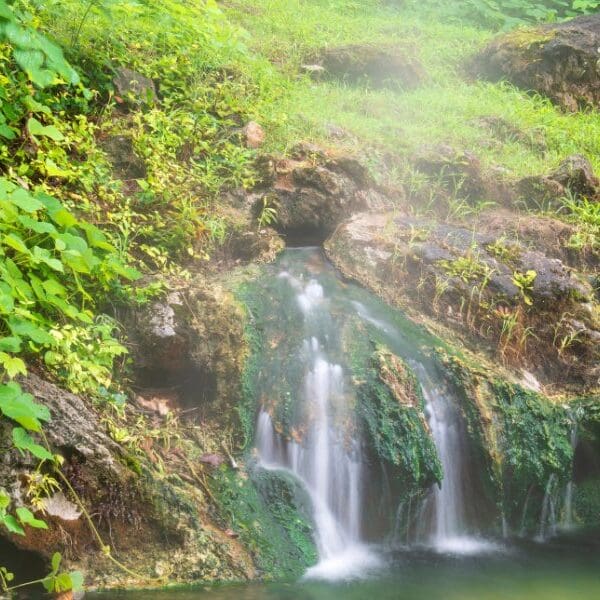 small waterfall in the woods in hot springs national park in arkansas