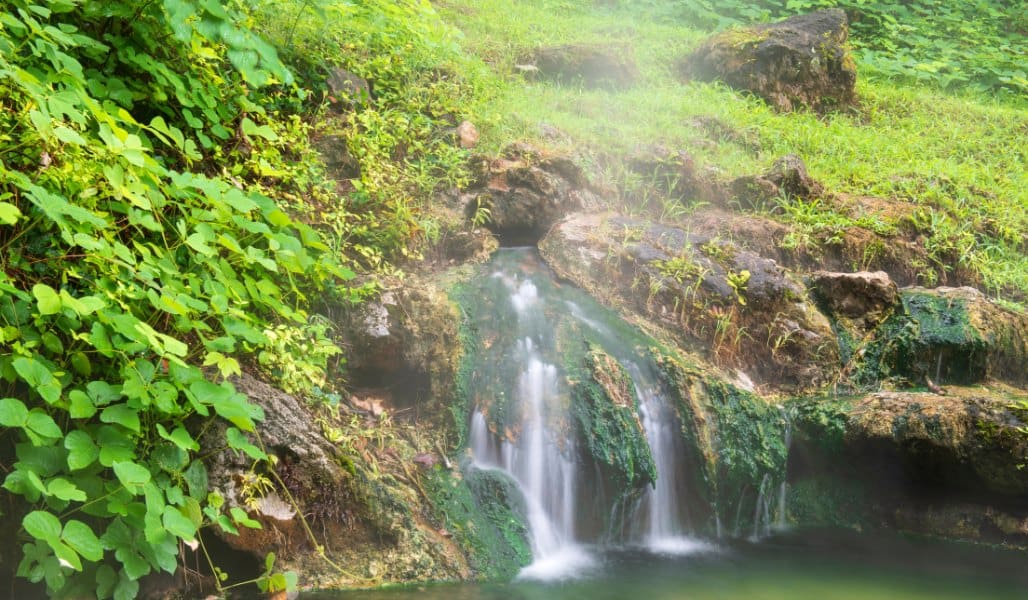 small waterfall in the woods in hot springs national park in arkansas