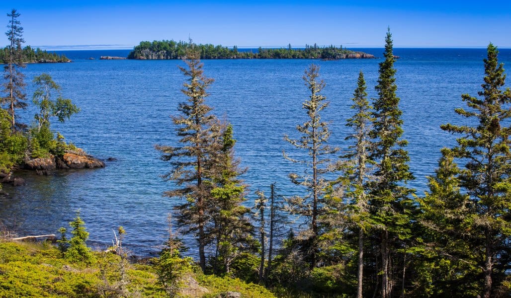 water and pine trees around isle royale national park