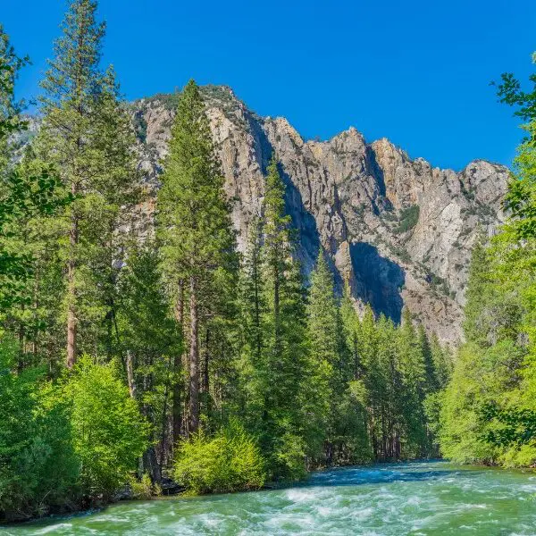 river and mountains in kings canyon national park