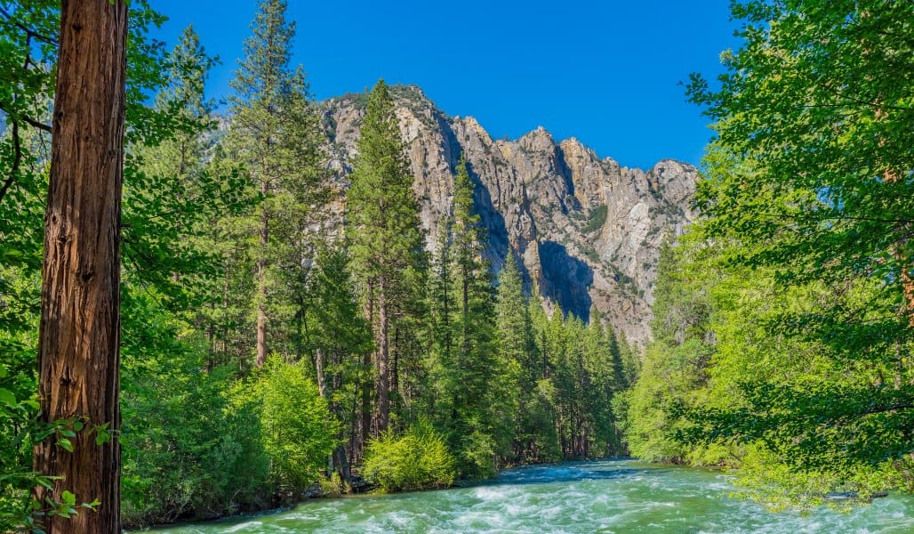 river and mountains in kings canyon national park