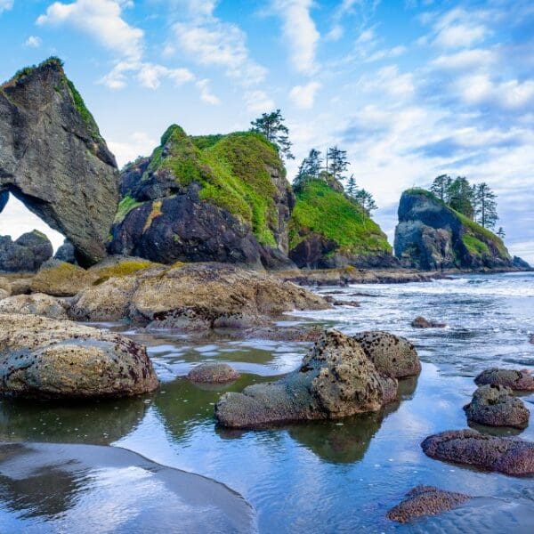 rocky shoreline in olympic national park