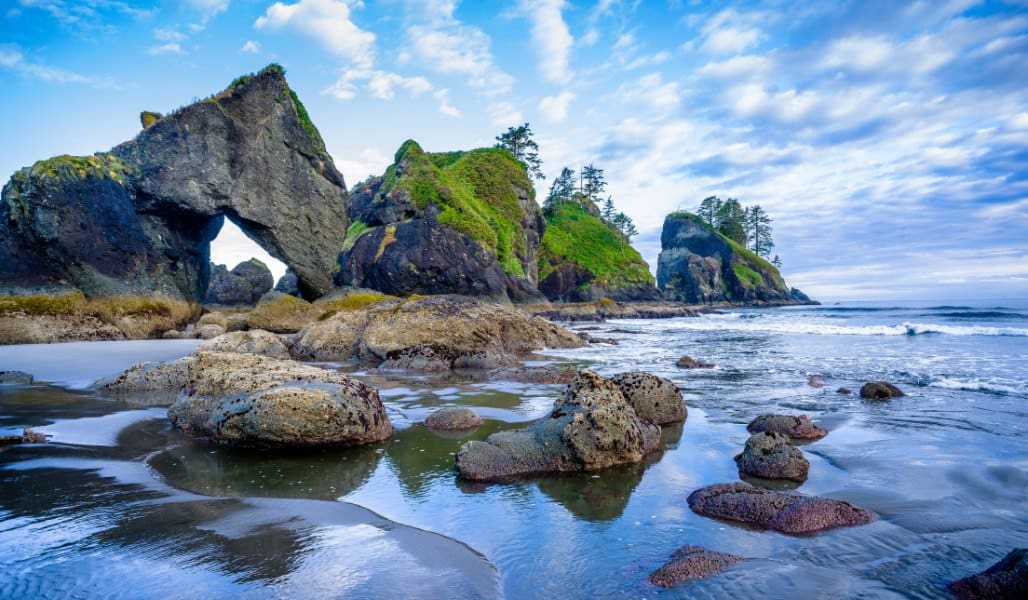 rocky shoreline in olympic national park