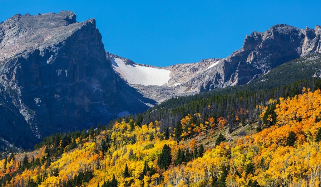 golden trees and mountains in rocky mountain national park