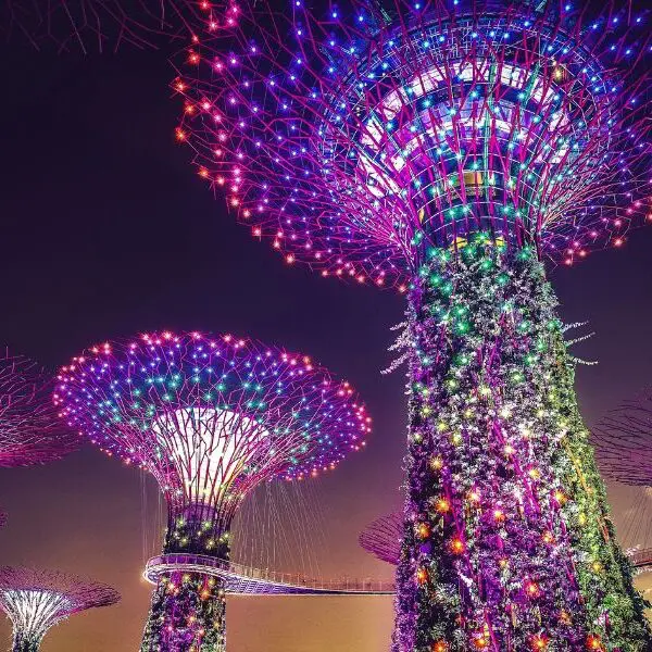 super trees in singapore