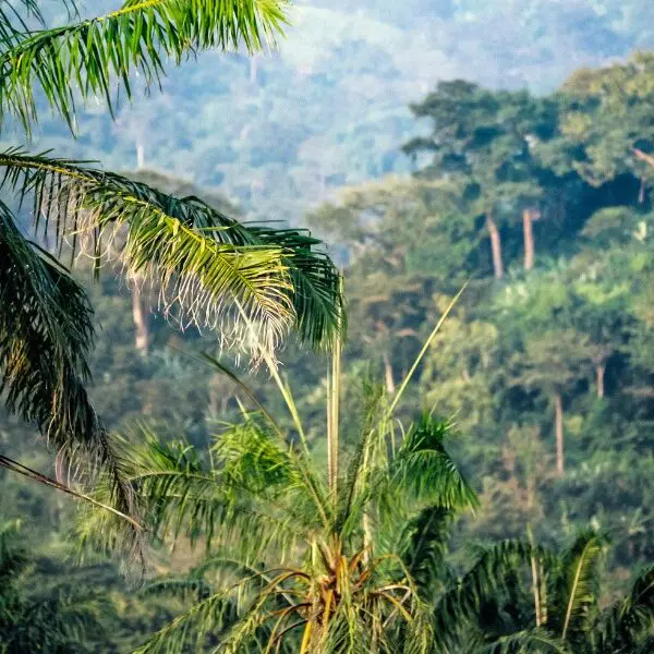 mountainous jungle area in Togo