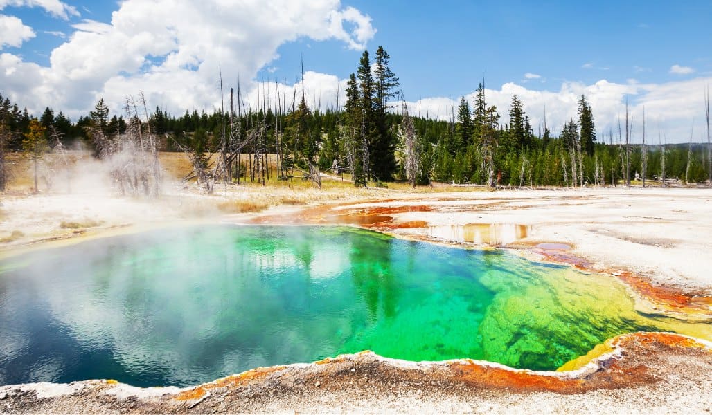 hot springs in yellowstone national park