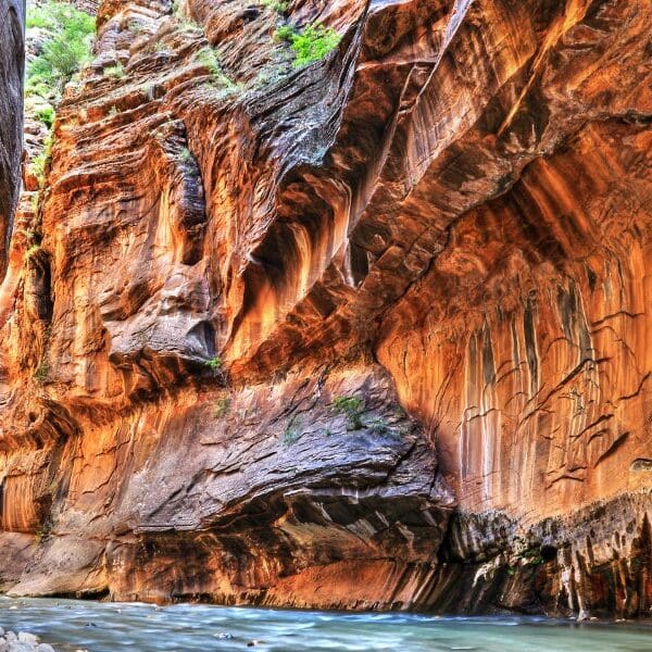 narrow canyon and river in zion national park