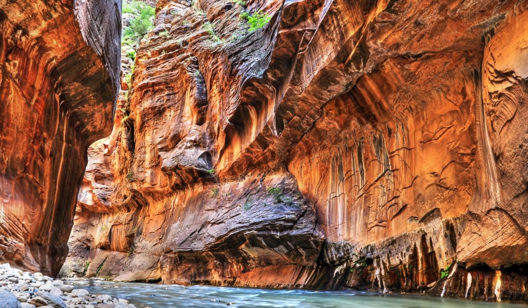 narrow canyon and river in zion national park